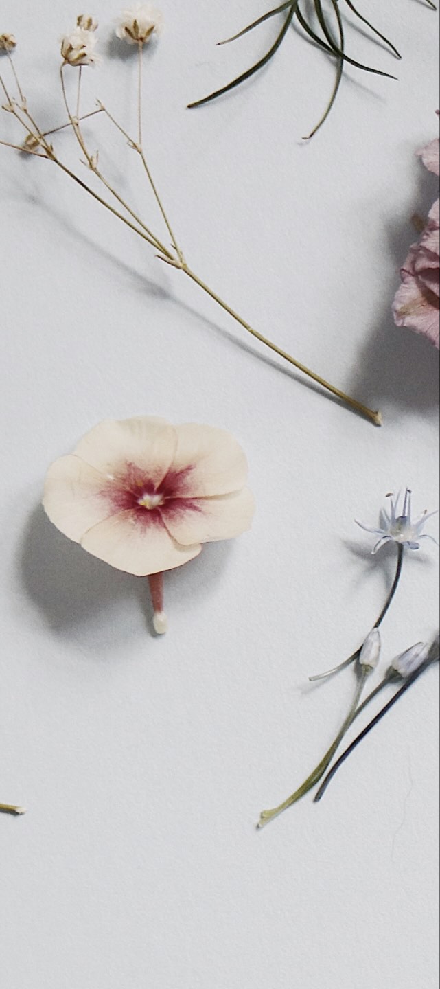 Desenvolvimento de fragrâncias e packaging para perfumes
