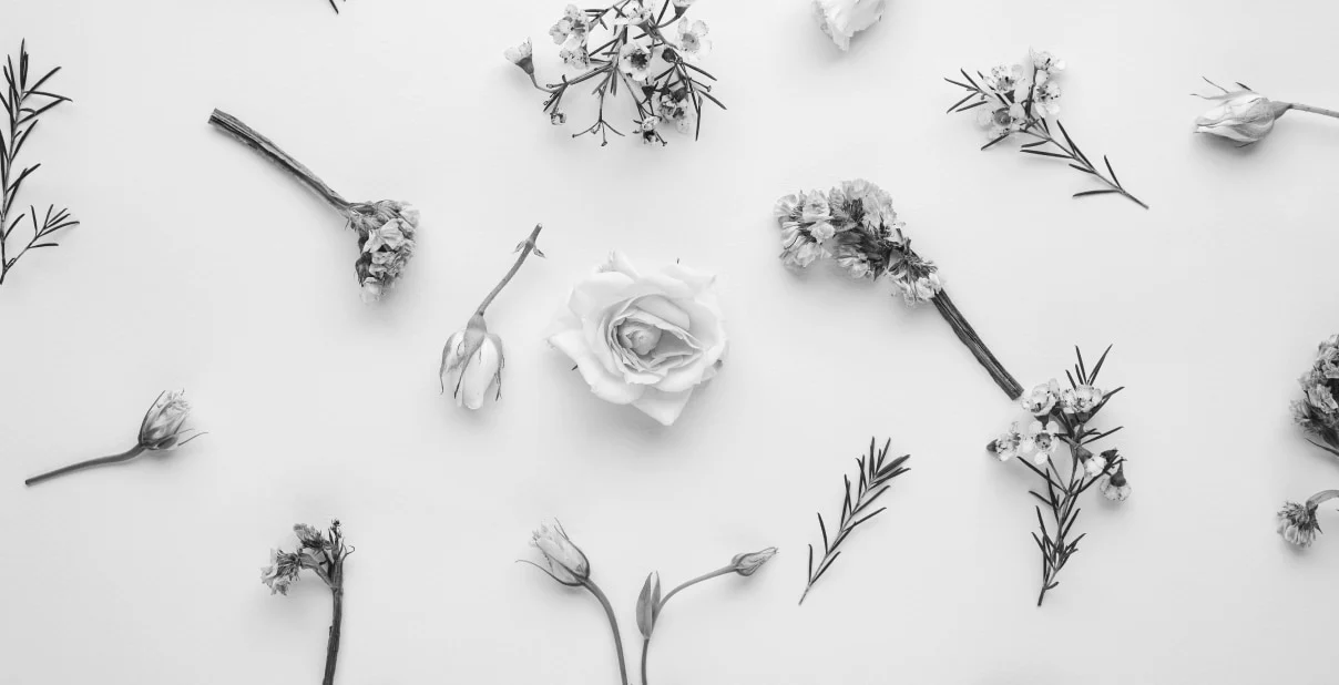 Fiori e botaniche: produzione di fragranze, bulk e macerazione